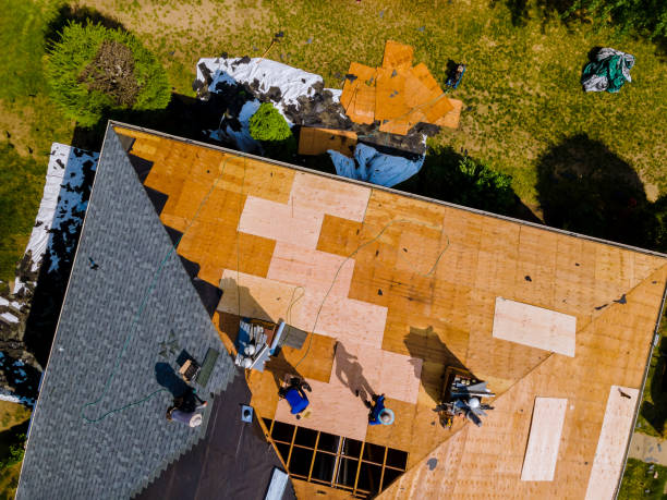 Best Roof Maintenance Services  in Susanville, CA